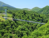 Kokonoe Yume Grand Suspension Bridge