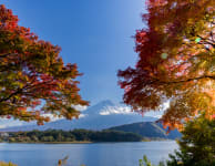 fuji five lakes