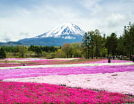 fuji five lakes