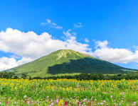 Mt. Daisen