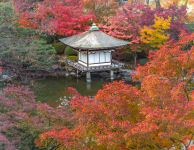 Wakayama Castle