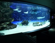 Sunshine Aquarium