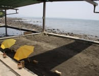 Beppu Beach Sand Bath