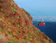 Nita Pass Autumn Leaves