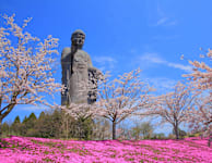 Ushiku Daibutsu