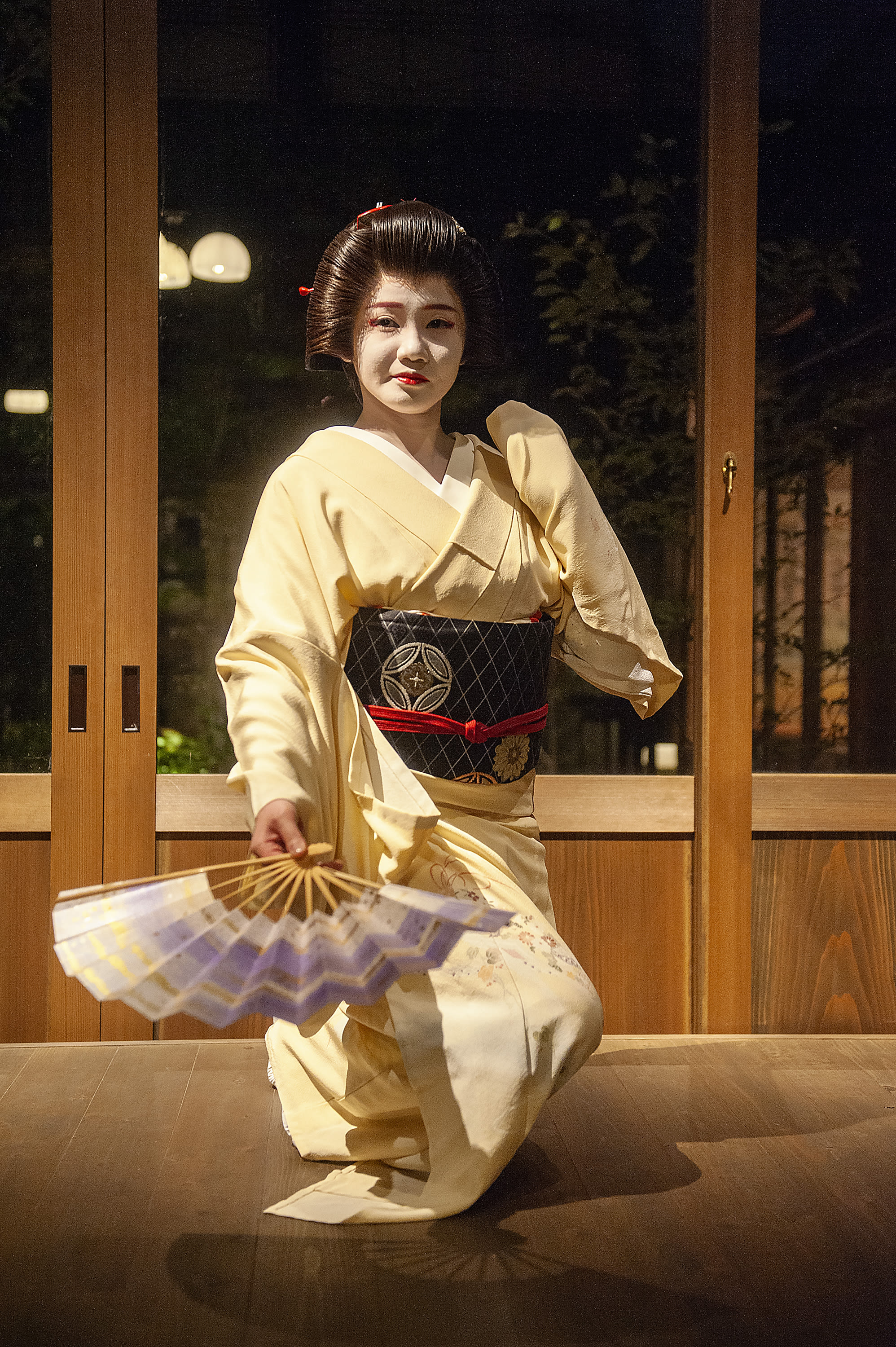 Was Macht Eine Geisha? | Geisha Frauen – SOVRNY