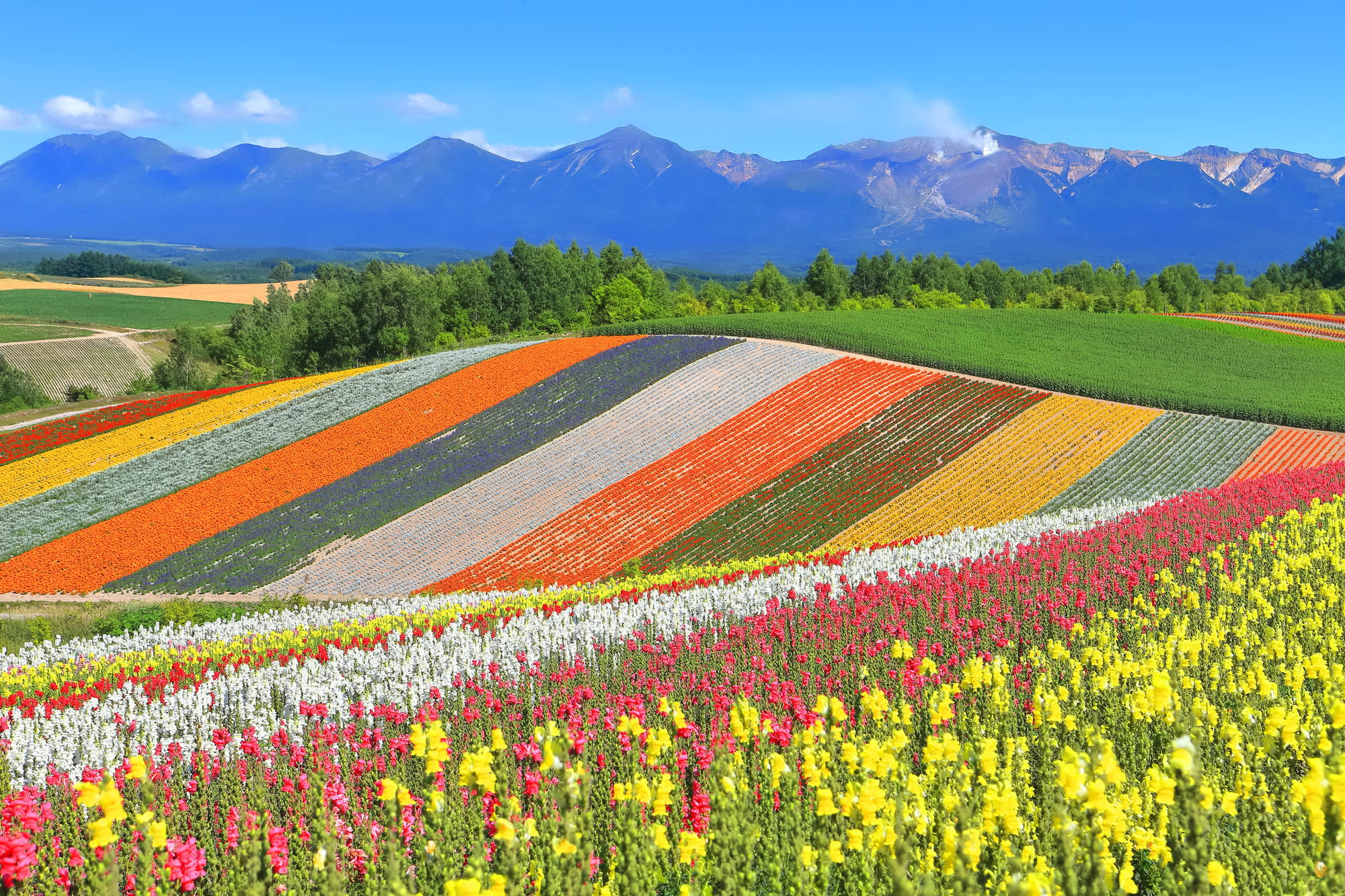 Discovering Japan: A Journey Through Timeless Landscapes and Cultural ...