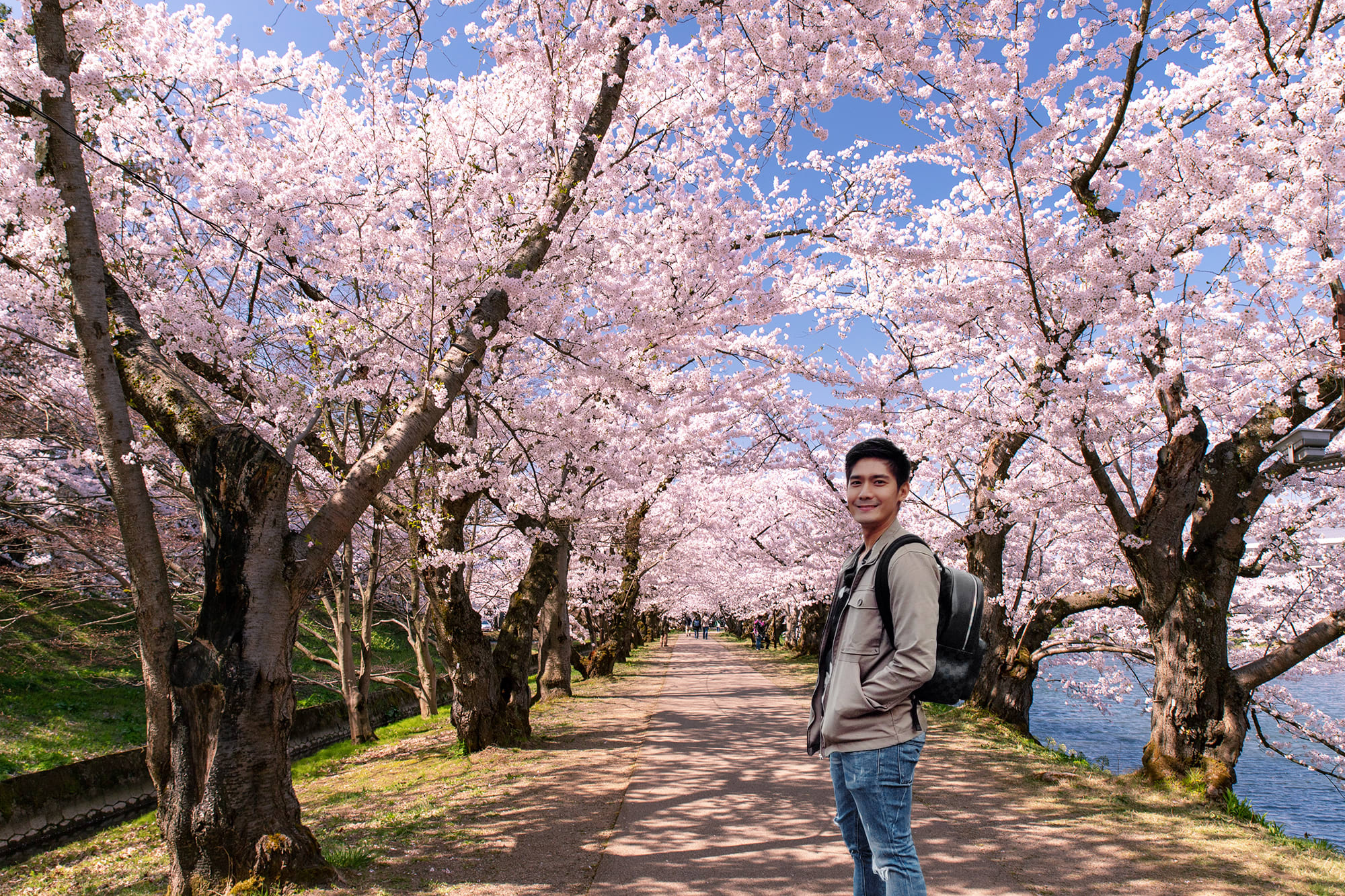 Where To See Beautiful Cherry Blossoms In Japan 8773