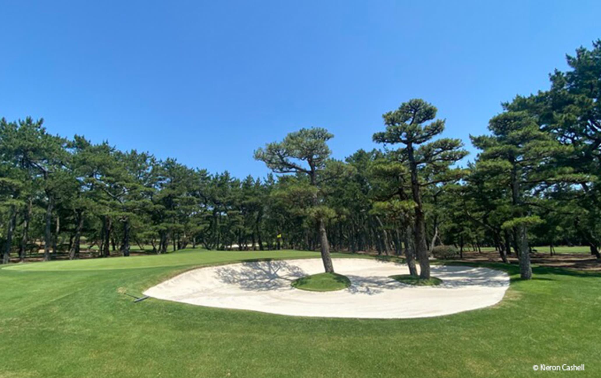 Phoenix Country Club