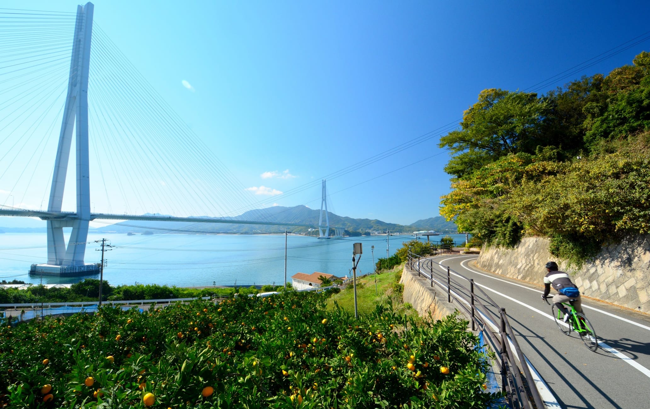 Shimanami Kaido Cycling Road