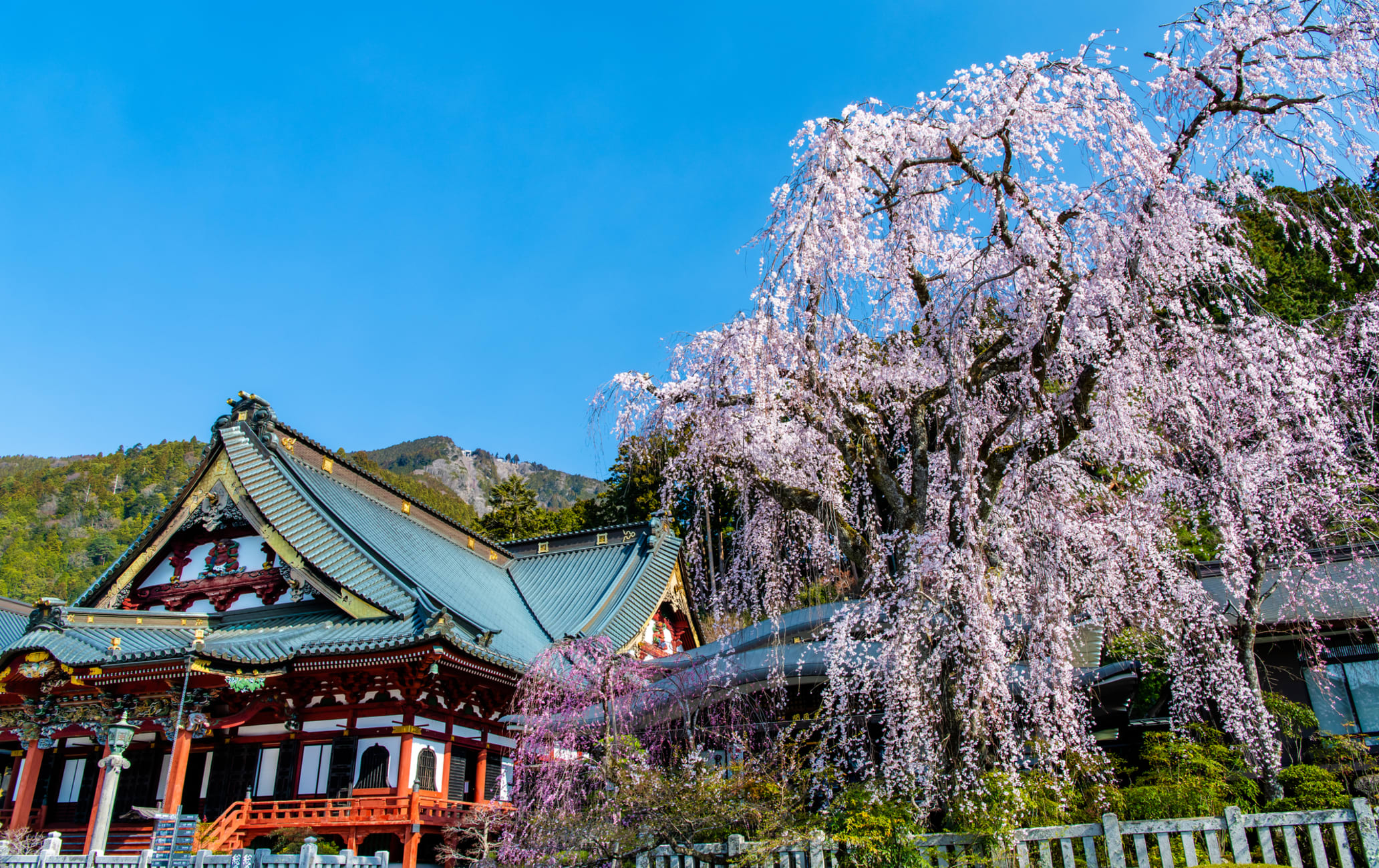 Mt. Minobu