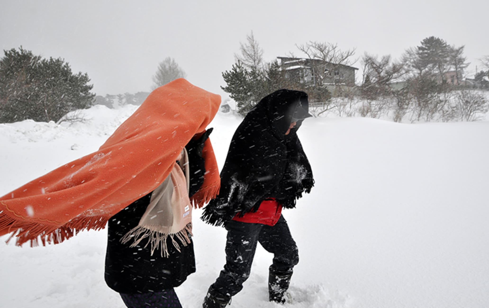 地吹雪