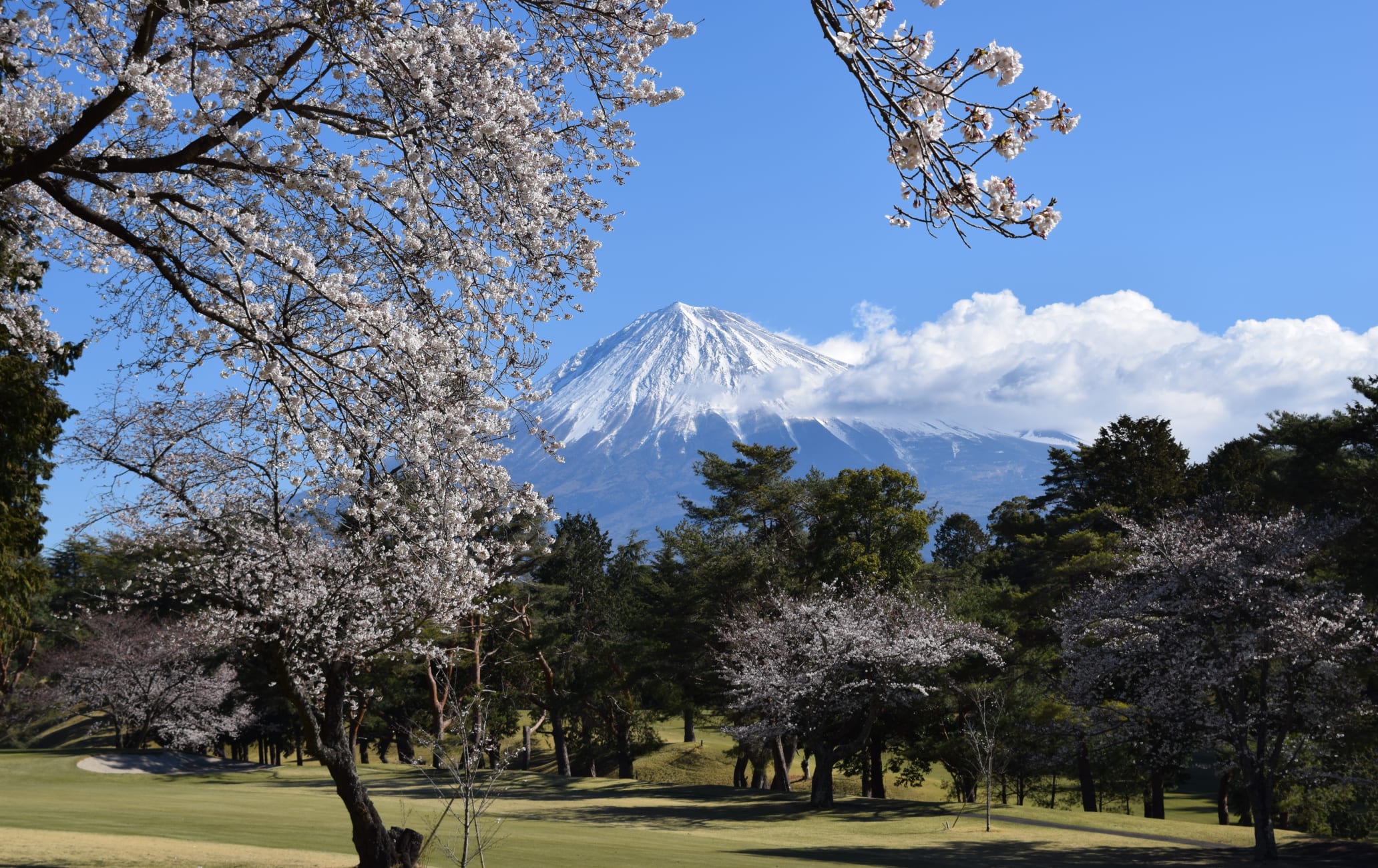 Fujinomiya Golf Club