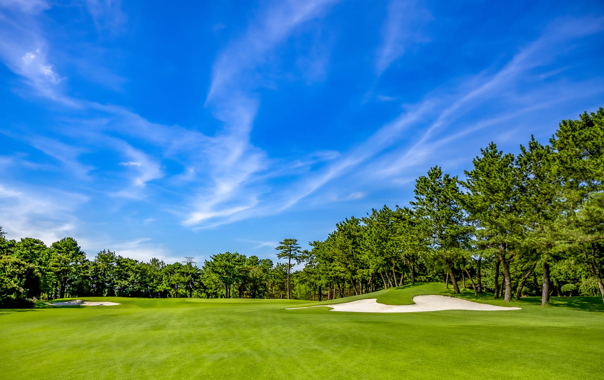 Taiheiyo Yachio Golf Club