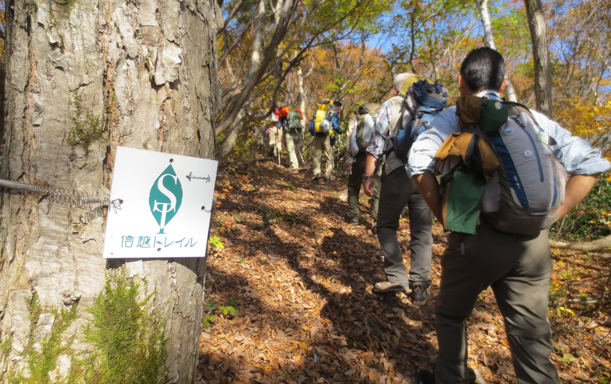 Shin-etsu trail