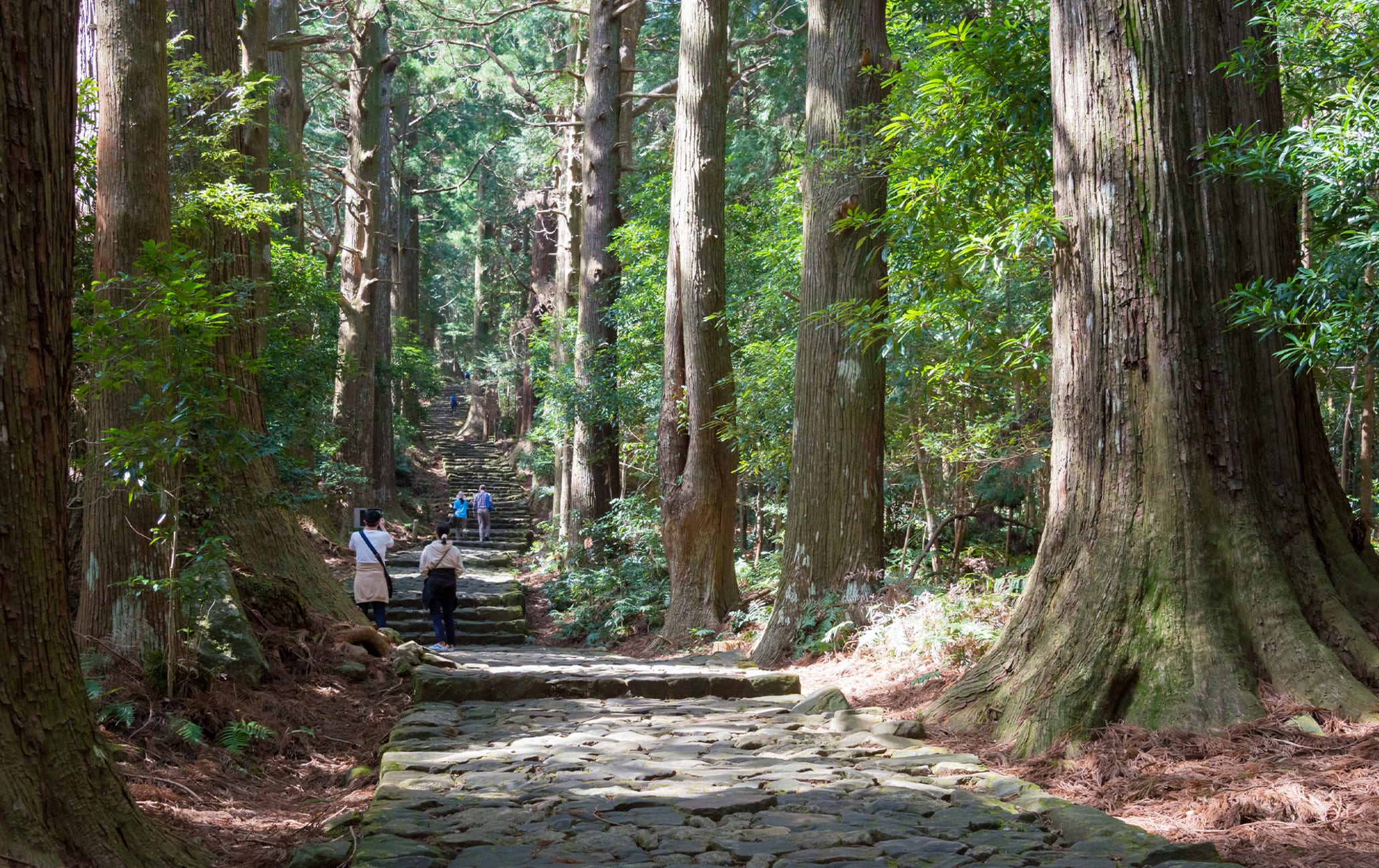 Kumano Kodo