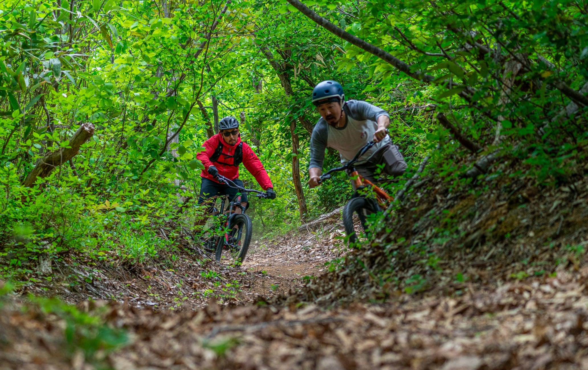 Mountain Biking in Nozawaonsen