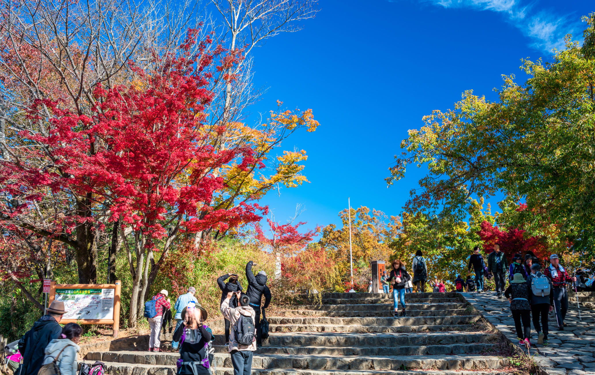 Mount takao sales