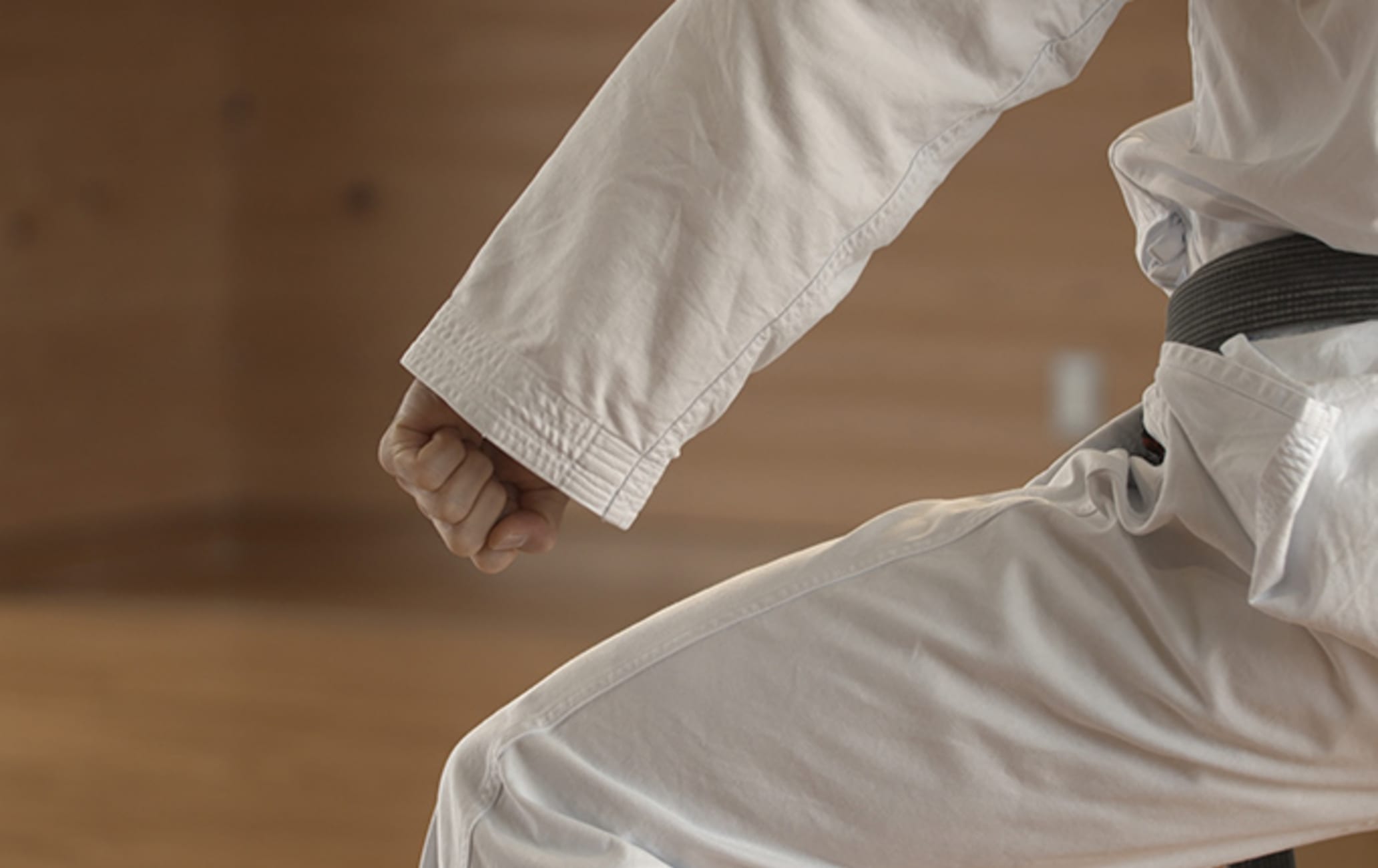 Ryu kyu karate best sale