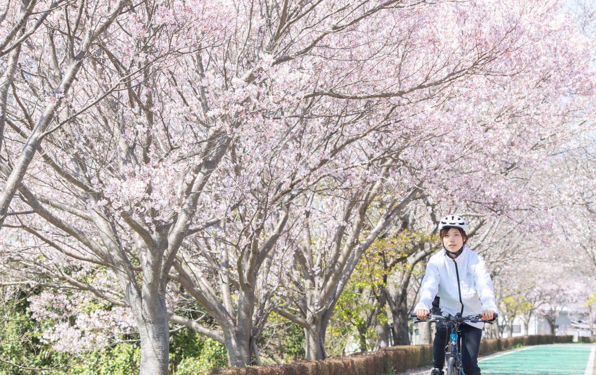 Tsukuba Kasumigaura Ring-Ring Road
