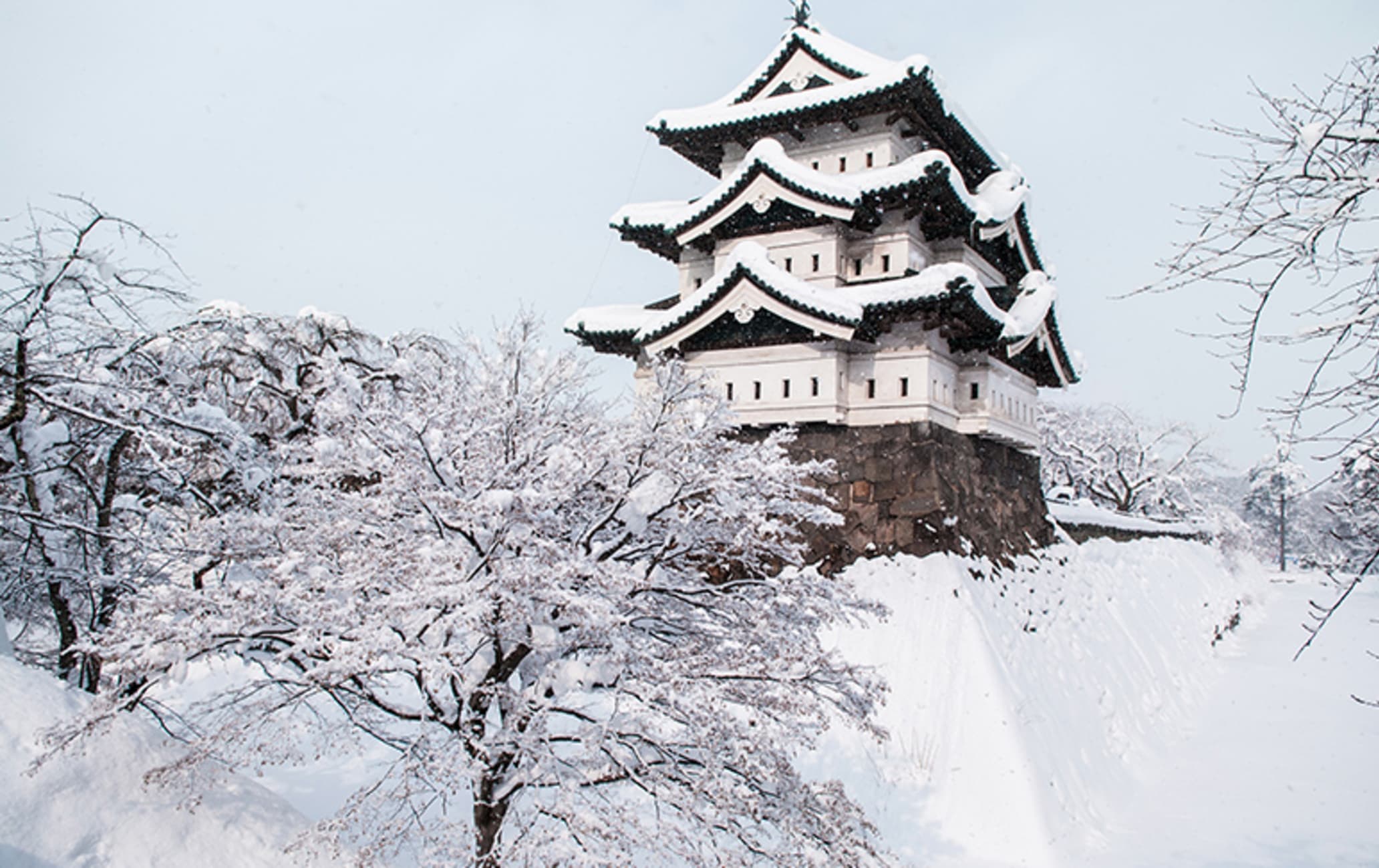 弘前城 青森 日本雪景 日本旅遊