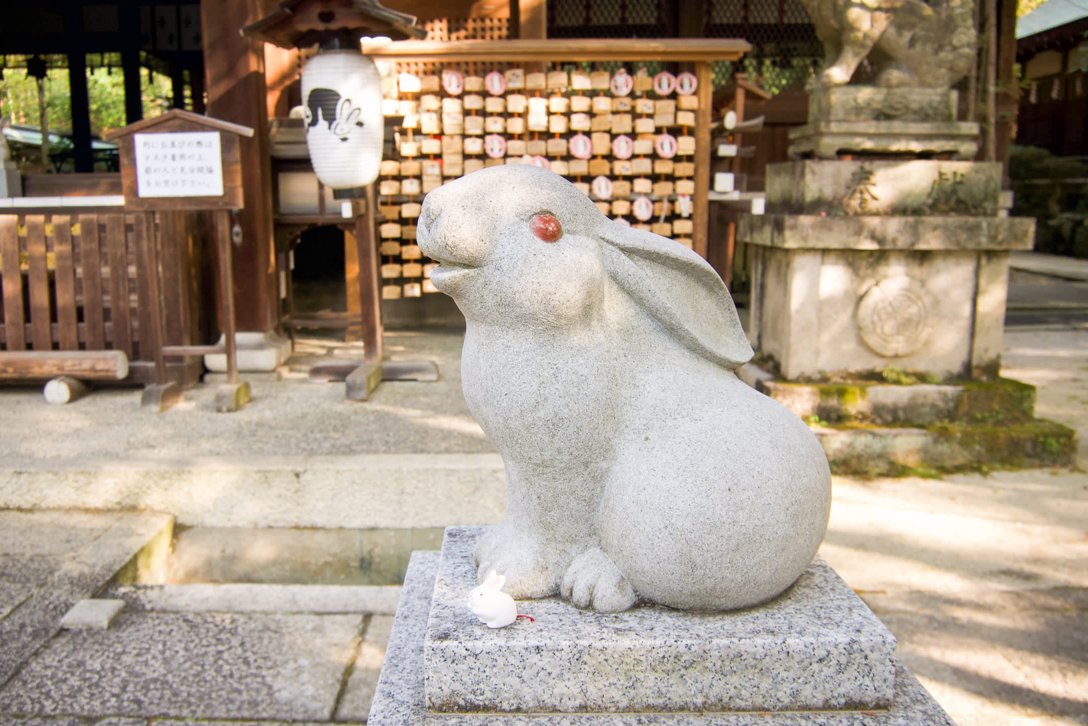 6 Bunny Places in Japan to celebrate the Year of the Rabbit! Blog