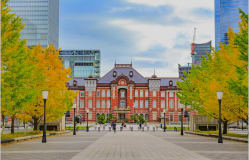 Half-day plan for shopping and gourmet dining in Tokyo: Ginza and Nihonbashi