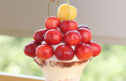 Cherry Parfait / Yamagata