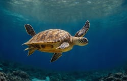 ¡Una amplia variedad de actividades por toda la región!