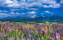 A 4-Day Adventure Across the Seasonal Beauty of Hokkaido