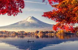 Trámites y registro