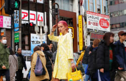 Palina deckt auf: Die Kosten einer Japanreise!