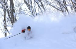 無與倫比的雪景：發掘您專屬的雪國物語