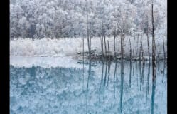 日本的美麗自然與傳統文化。簡單拍攝推薦景點的技巧