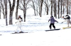 新潟冬季週末遊：冬天到新潟休閒渡假，盡享天然溫泉和當地美食