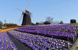 Tsurumi Ryokuchi Park