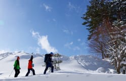 Snowshoeing Urabandai / Fukushima