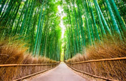 Muslim Friendly Facilities - Another Kyoto official Travel Guide