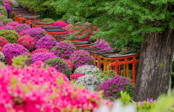 ➁ Une découverte de vos endroits préférés