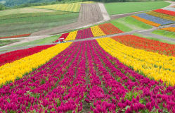 Naturaleza en su máxima expresión