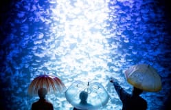 Kamo Aquarium / Yamagata