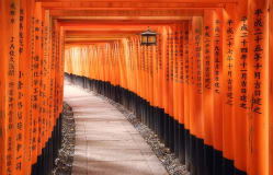 Fidel de Tovar y Dani Bermúdez