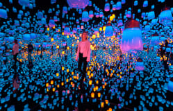 TeamLab Digital Arts Museum