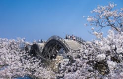 Instagram-Gewinnspiel in Kooperation mit Nippon Connection