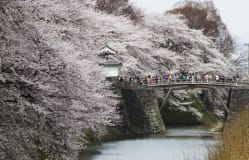 Kajo park / Yamagata