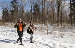 體驗北海道大自然的純粹，晉升冬季旅遊專家