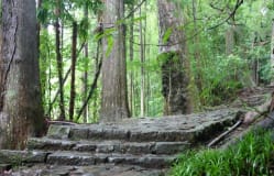 Vandring på pilgrimsleden Kumano Kodo