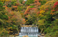Follaje otoñal en Hakone