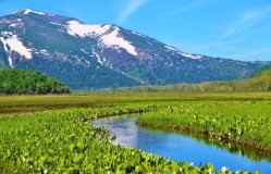 Besök Ozenuma-sjön med en naturguide