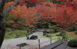 Entsu-in Temple / Miyagi